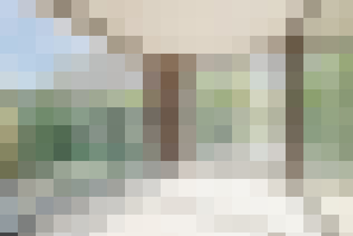 Image 17