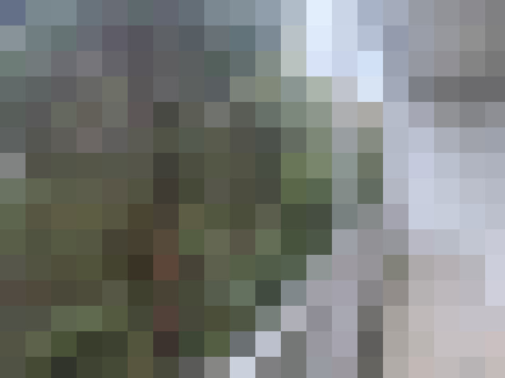 Image 14