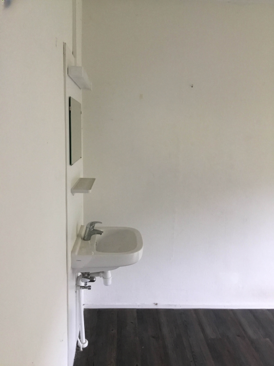 Bekijk foto 1/4 van house in Oegstgeest