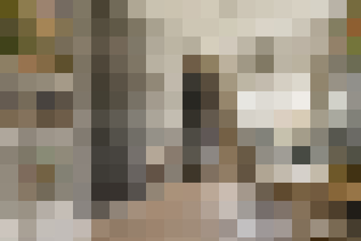 Image 22