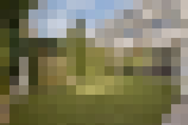 Image 20