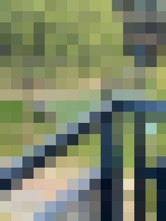 Image 21