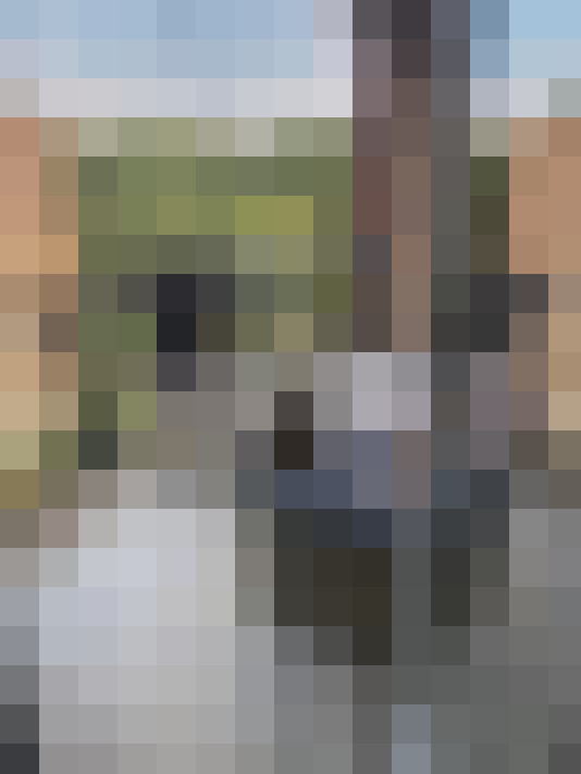 Image 20
