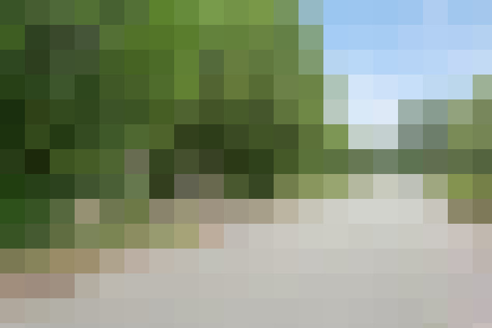 Image 14