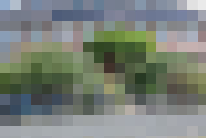 Image 48