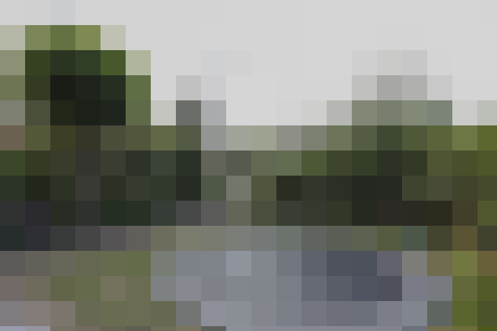 Image 46
