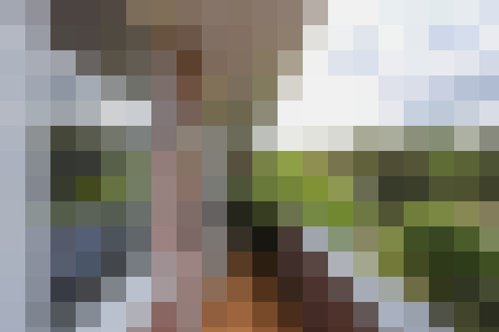 Image 27