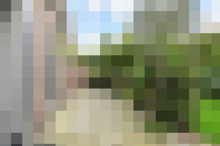 Image 41