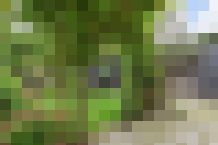 Image 43
