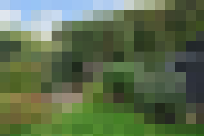 Image 36