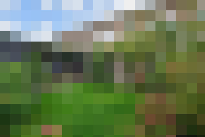 Image 37