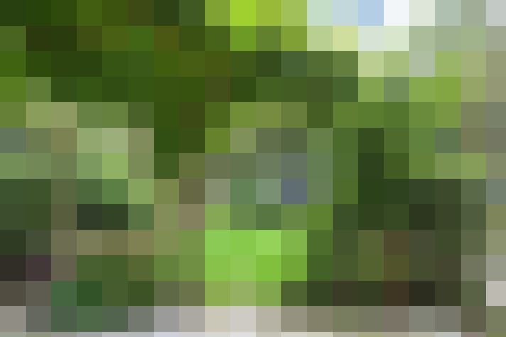 Image 42