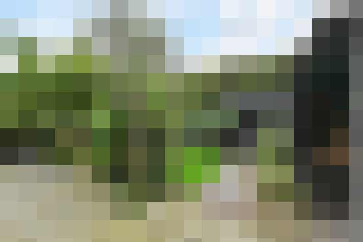 Image 40