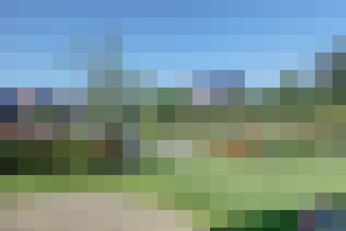 Image 46