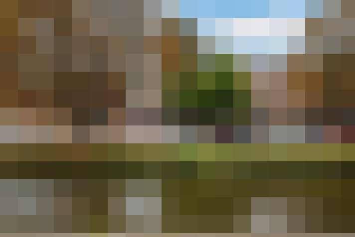 Image 39
