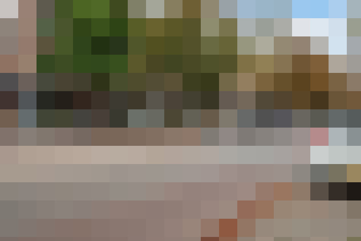 Image 42