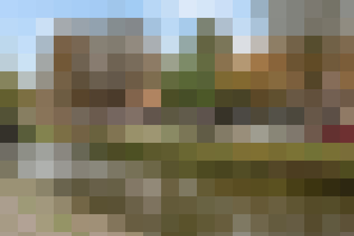 Image 40