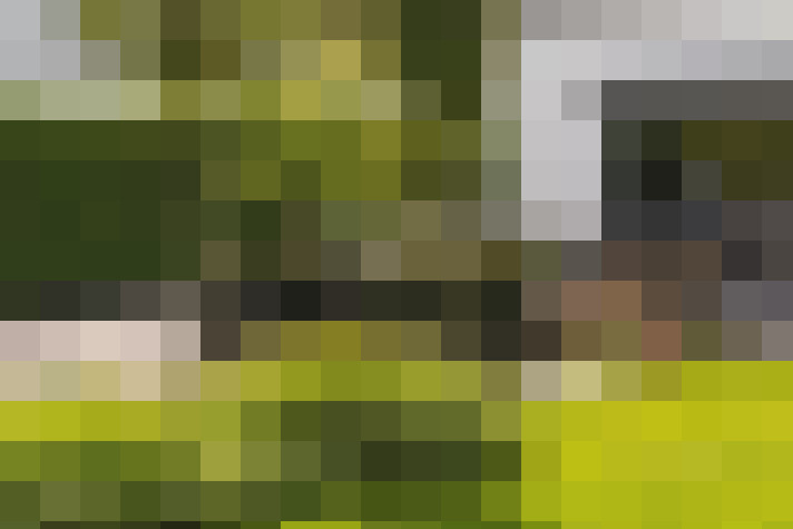 Image 72