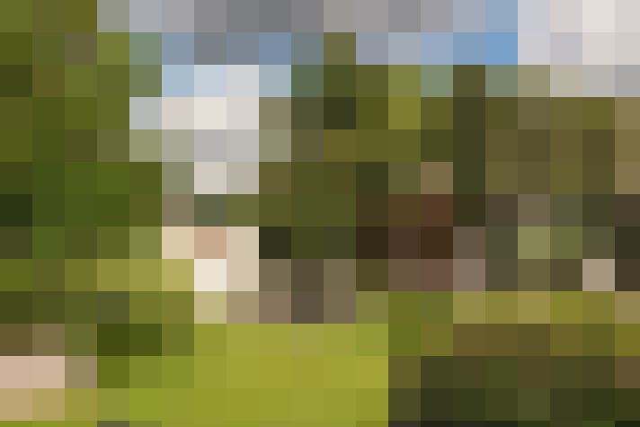 Image 75