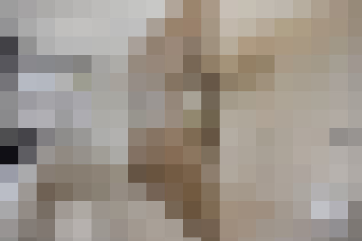 Image 45