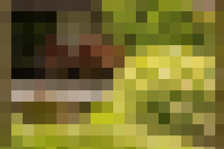 Image 71
