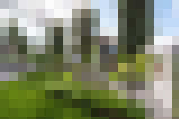 Image 69