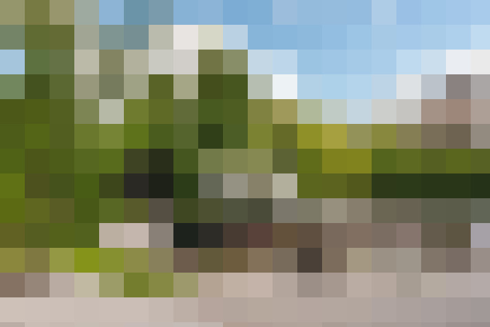 Image 73