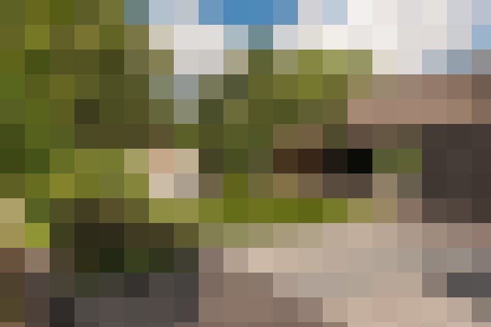 Image 77