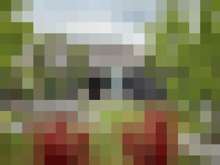 Image 76