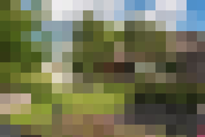 Image 74