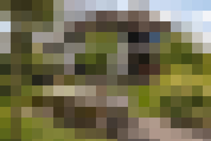 Image 70