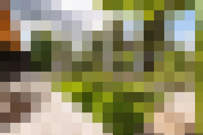 Image 68