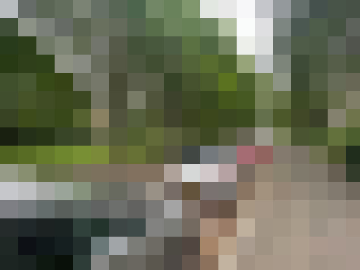 Image 40