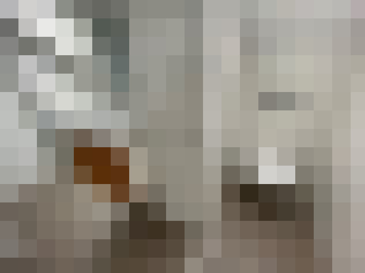 Image 38