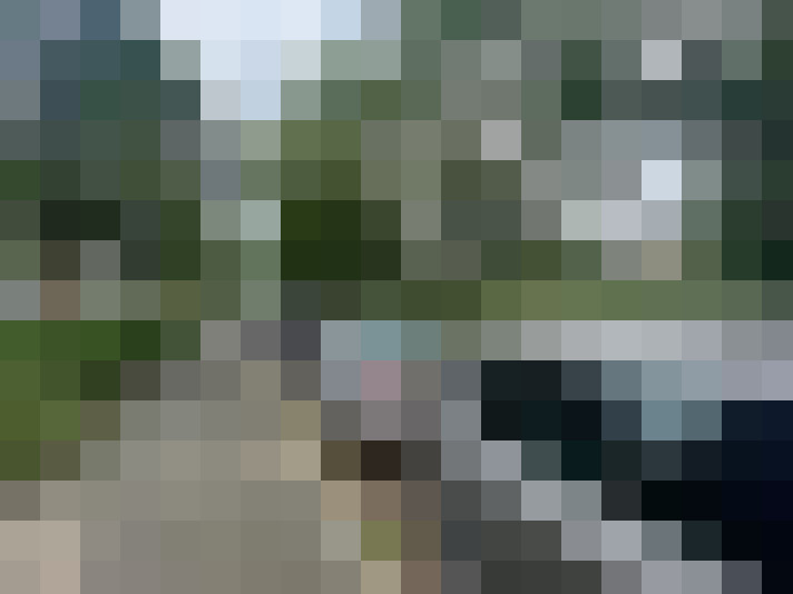 Image 39