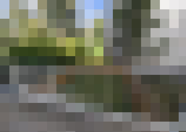 Image 13