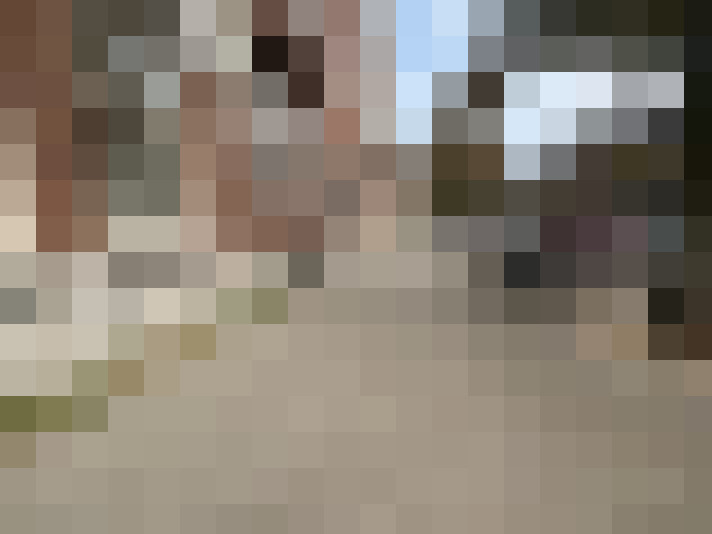 Image 14