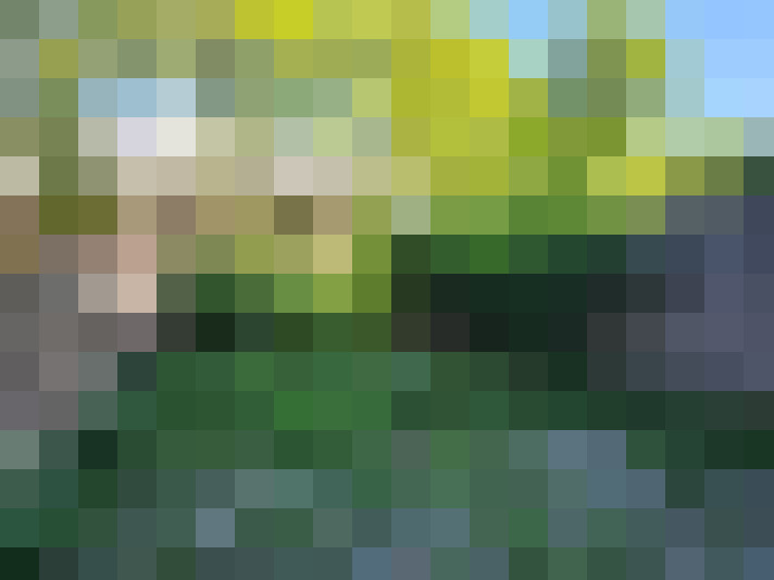 Image 18