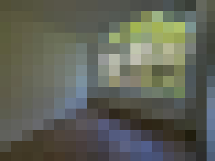 Image 15
