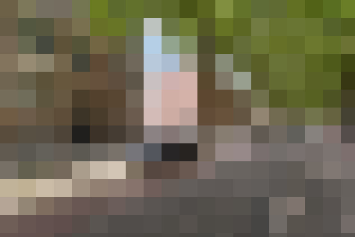 Image 15