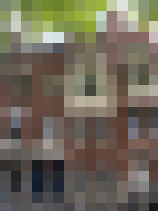Image 14