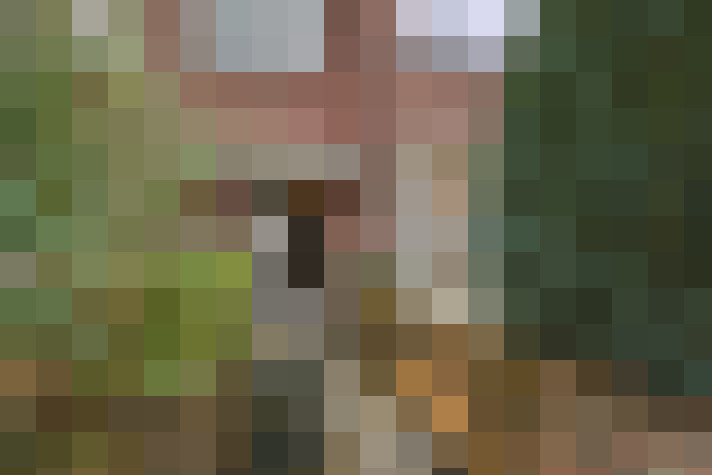 Image 22