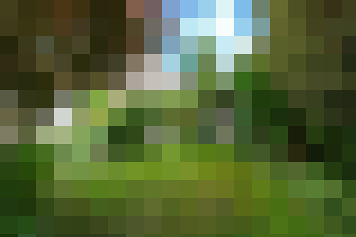 Image 49