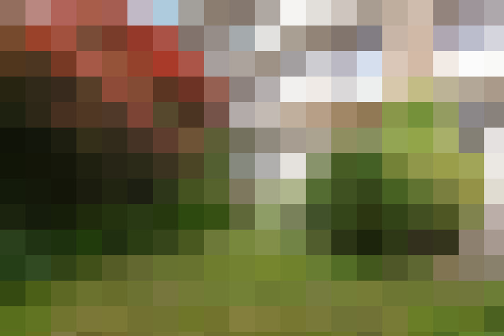 Image 47