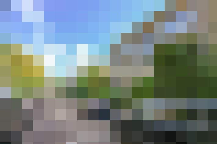 Image 40