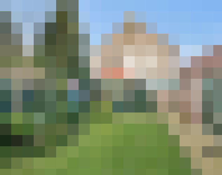 Image 27