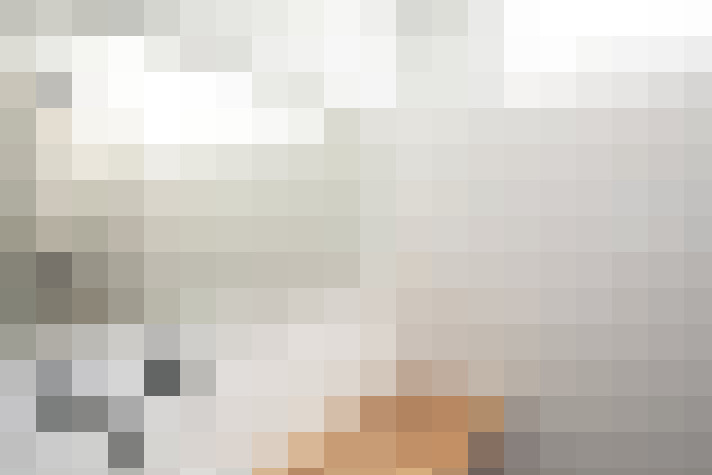 Image 29