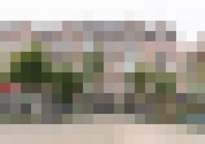Image 17