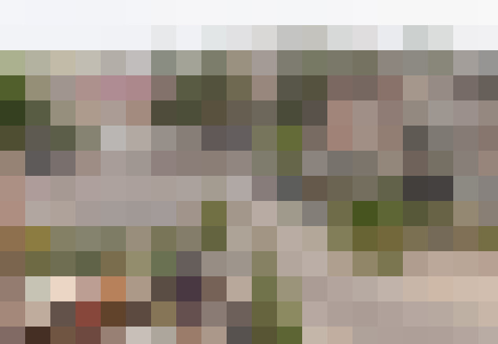 Image 20