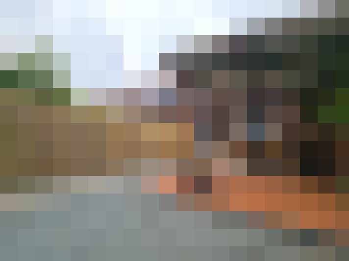 Image 29
